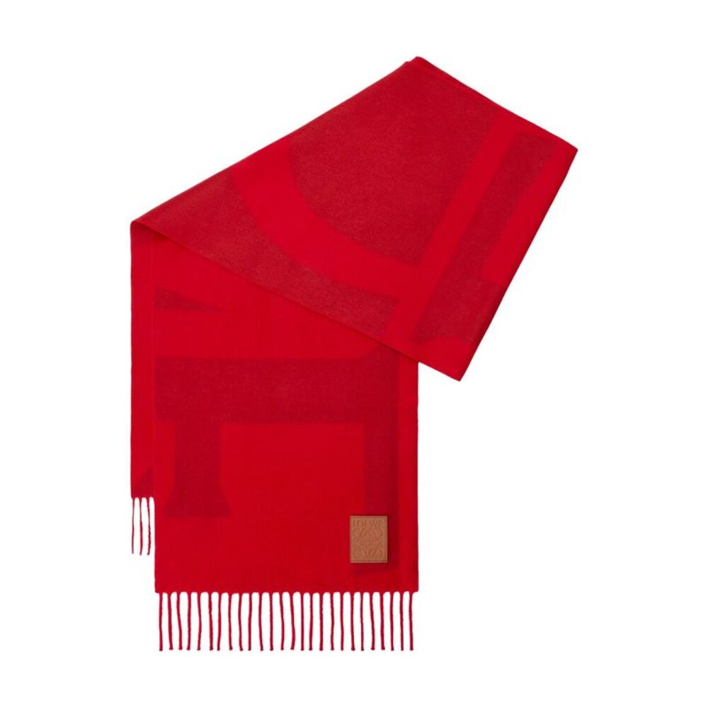 Loewe Men Loewe Logo Cashmere Scarf